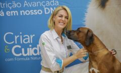 Cão de Ana Hickmann ganha prêmio na Copa do Mundo dos Cães em São Paulo